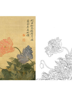 工笔画白描底稿恽寿平没骨花卉小品实物打印稿尺寸可选SP83