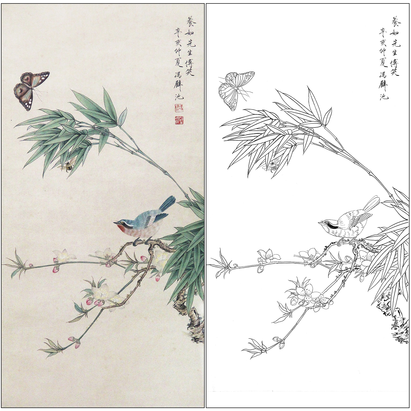 冯壁池花鸟工笔画白描底稿《花鸟草虫》竹子临摹高清打印画稿CL07