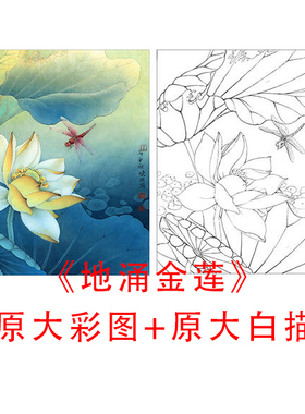 工笔白描荷花蜻蜓小品底稿李晓明地涌金莲线描临摹实物打印稿863C