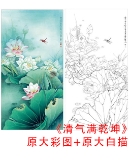 工笔花鸟白描底稿李晓明四尺荷花-清气满乾坤-原大实物打印稿KA18