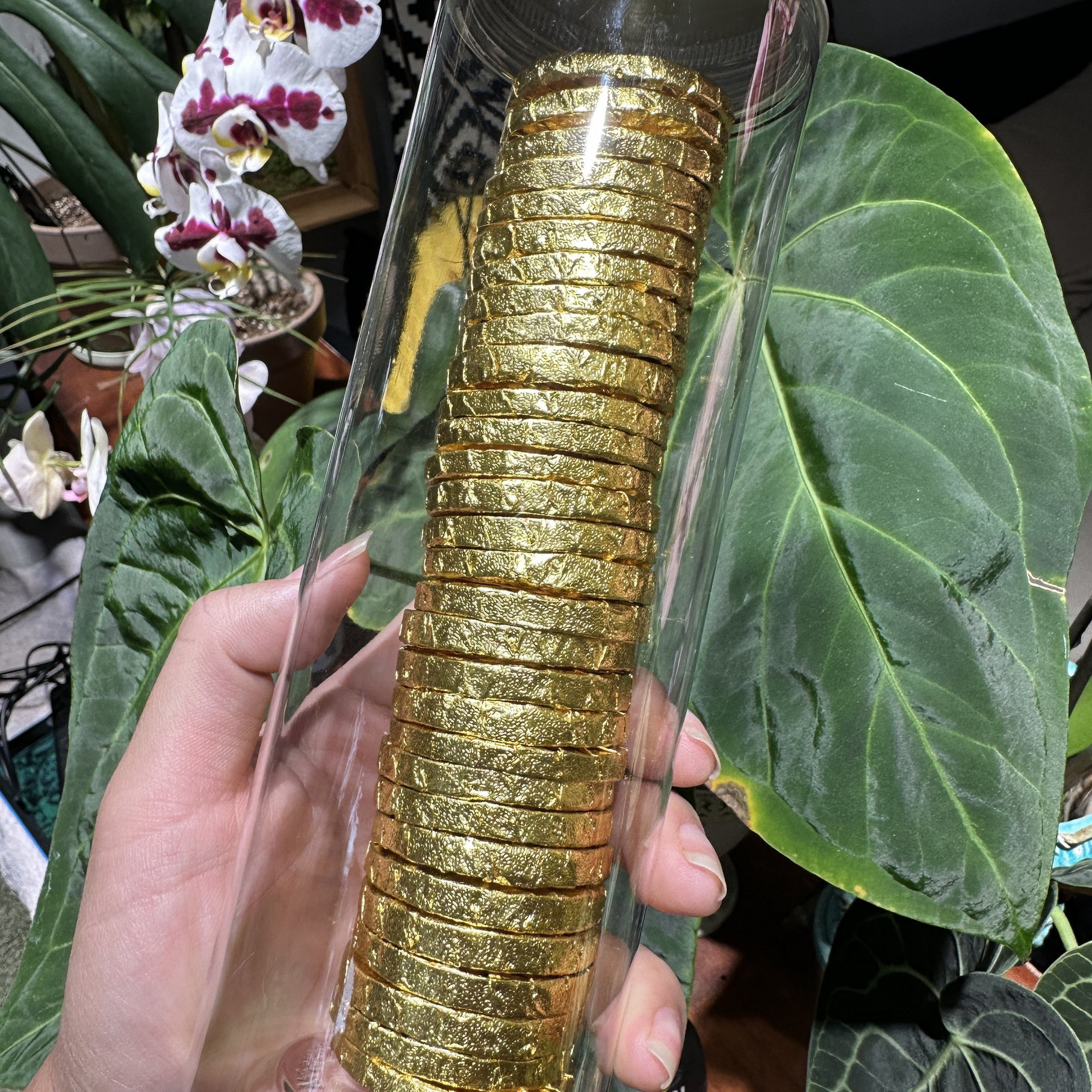 2018年普洱熟茶金币小圆饼熟茶勐海布朗山瓶装150克30片独立包装