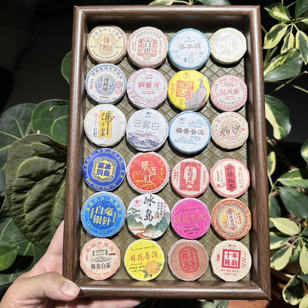 1次品尝20种茶叶普洱茶白茶陈皮红茶冰岛生茶熟茶柠檬菊花茶