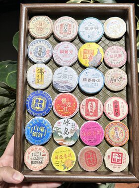1次品尝20种茶叶普洱茶白茶陈皮红茶冰岛生茶熟茶柠檬菊花茶