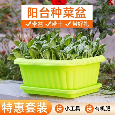 阳台种菜盆长方形草莓盆大号加深蔬菜种植箱自吸水塑料盆长条花盆