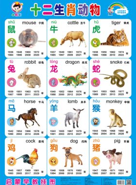 早教墙贴婴儿认识十二生肖挂图