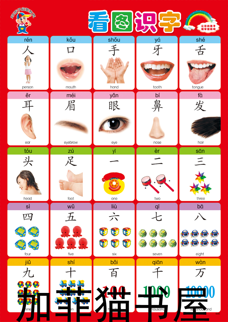 无声识字儿童认知墙贴平面挂图