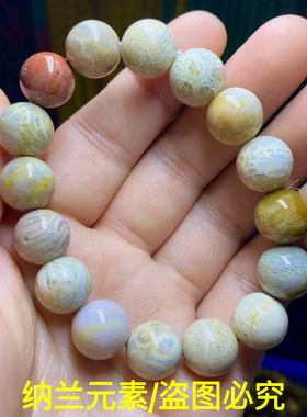 天然珊瑚玉手链菊花石手串男女款本命年礼物饰品