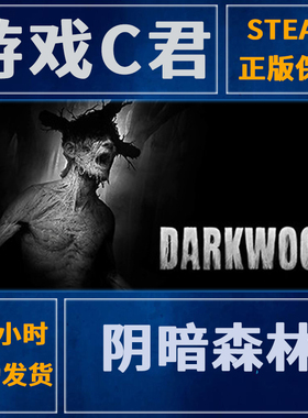 Steam正版游戏 阴暗森林 豪华版 Darkwood 激活码  国区 全球Key
