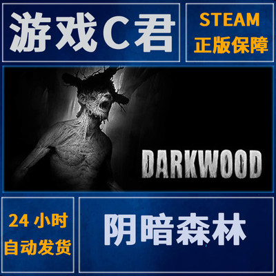 Steam正版游戏 阴暗森林 豪华版 Darkwood 激活码  国区 全球Key