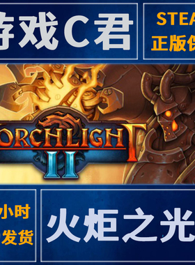 Steam正版游戏 火炬之光2 Torchlight II 激活码中文国区 全球Key