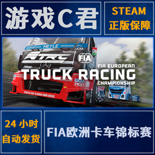 Steam FIA European Truck Racing Championship 欧洲卡车全球Key