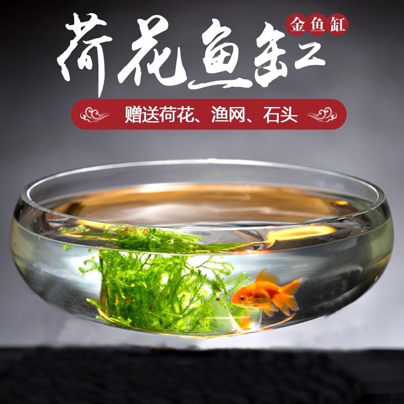 特大号荷花超白透明玻璃水培鱼缸