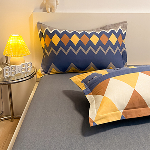 简约纯棉加厚磨毛枕套一对装48x74cm单人100全棉枕芯套冬季枕头套