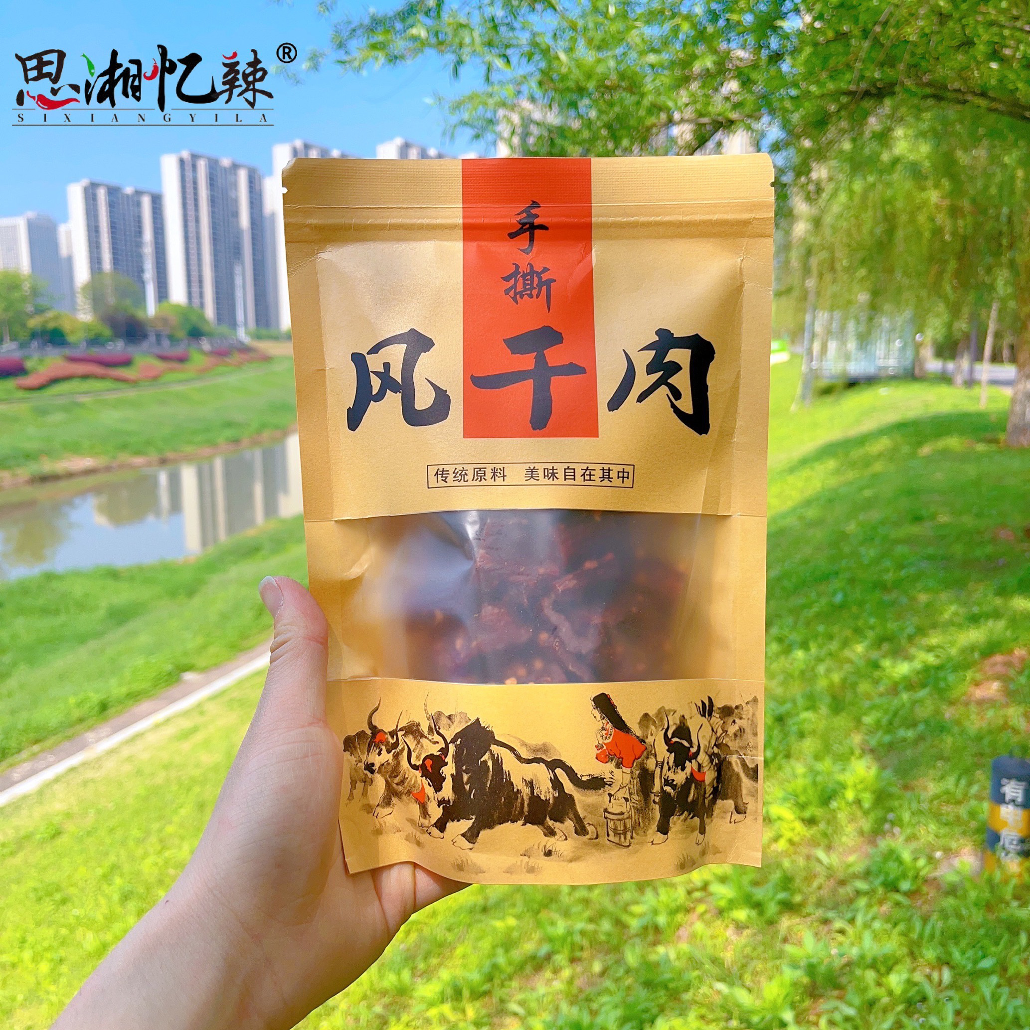 湖南长沙思湘忆辣200g手撕风干肉香辣麻辣五香抗饿耐嚼猪肉干小吃