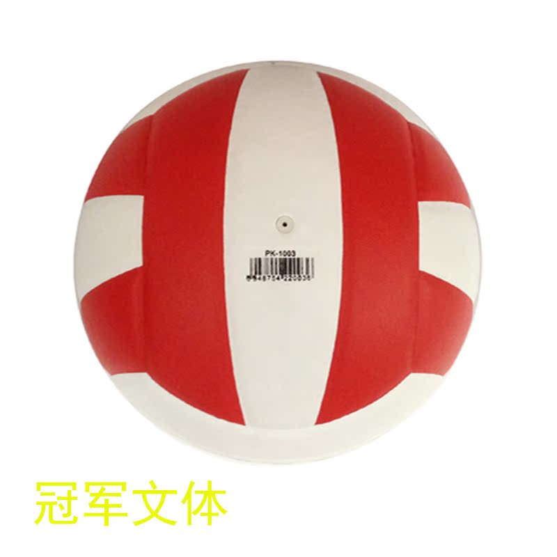 Ballon de volley-ball - Ref 2009052 Image 4