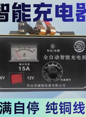 铖铭汽车电瓶充电器12V24V15A30A大功率纯铜智能充满自停修复电池