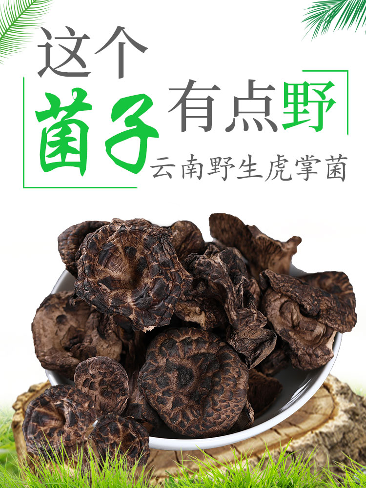 野生菌香菇云南特产袋装煲汤食材