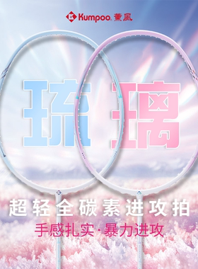 熏风琉璃羽毛球拍超轻K520pro全碳素入门初学男女耐打正品单双拍