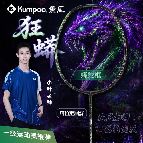 薰风狂蟒专业羽毛球拍全碳素单拍