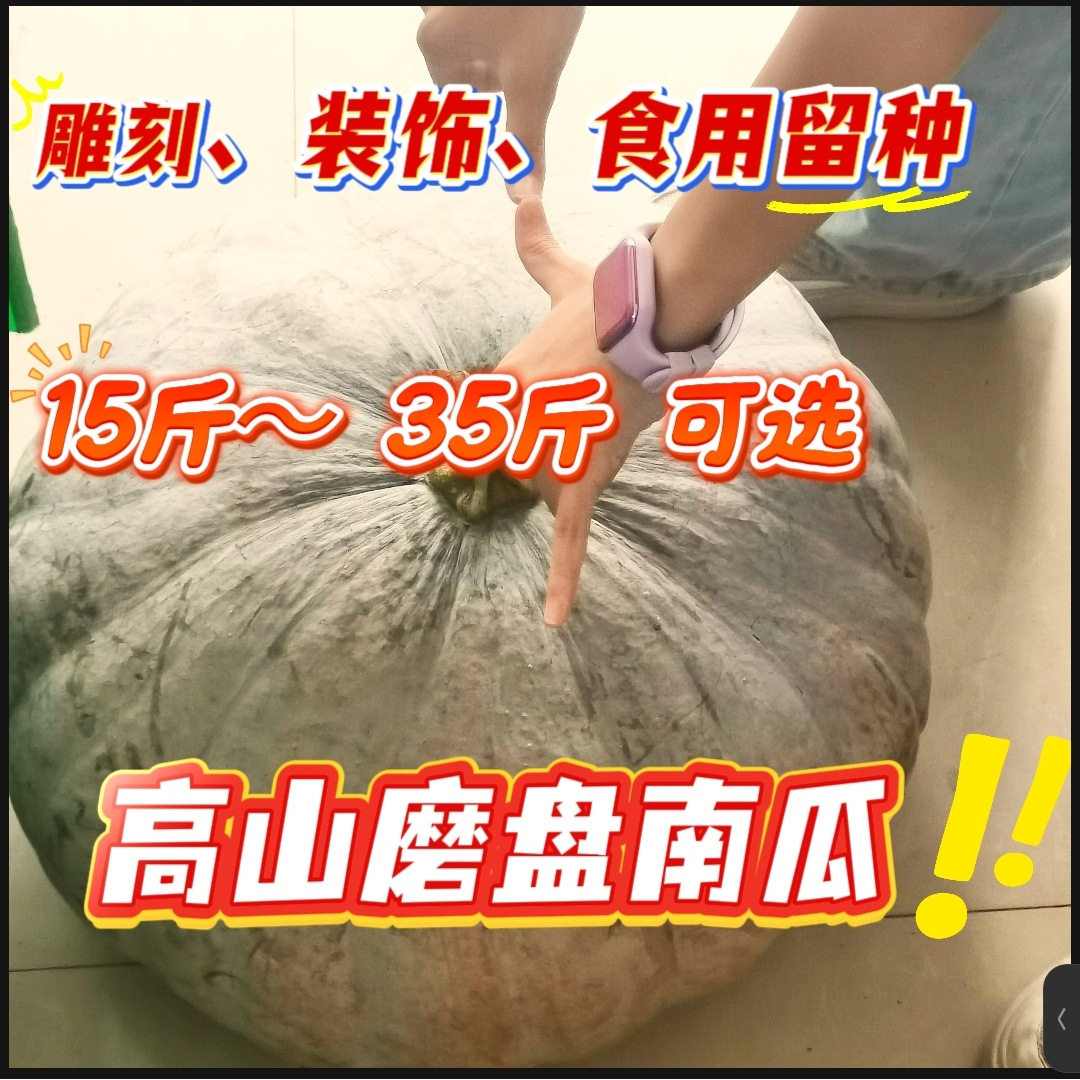 大号大号大号磨盘南瓜圣诞节雕刻南瓜