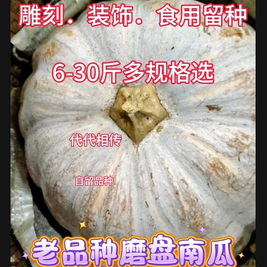 正宗老品种磨盘南瓜农家直发大南南瓜
