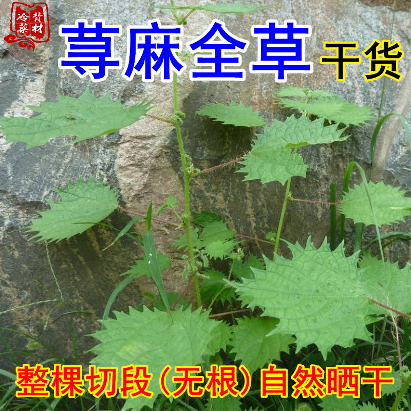 荨麻草 干货白活麻杆叶500g包邮蝎子草青活麻 野禾麻河麻全草无根