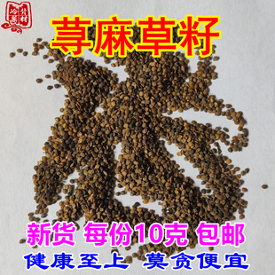 新货荨麻草籽 蜇人草咬人草子10克包邮 螫麻活麻草荨麻子籽中药材