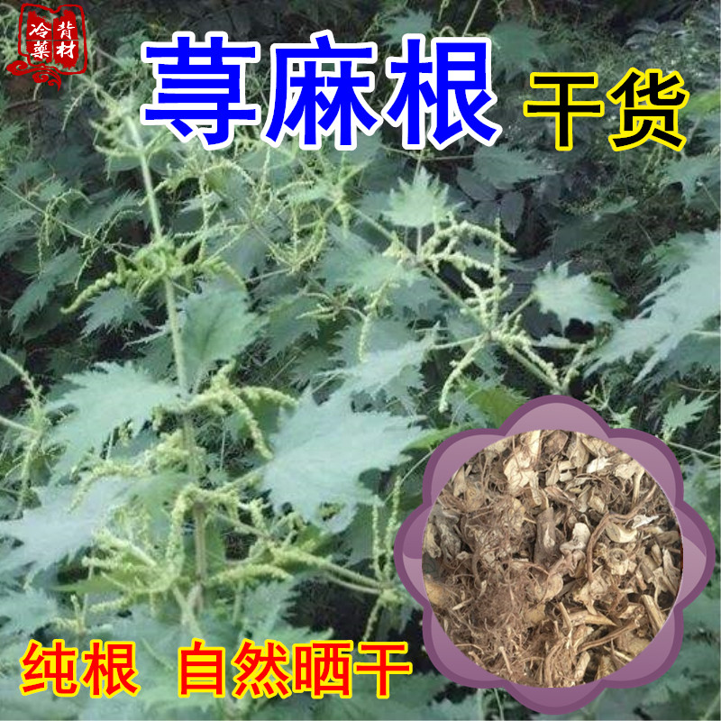 荨麻草根白活麻根干货包邮