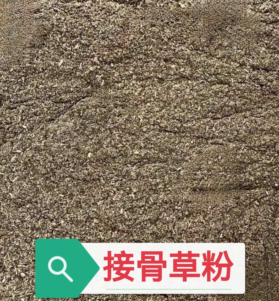 接骨草粉八棱麻粉可用于外敷