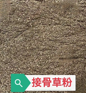 现磨接骨草粉 陆英粉八棱麻粉500g包邮蒴藋粉 接骨草叶粉外敷药材