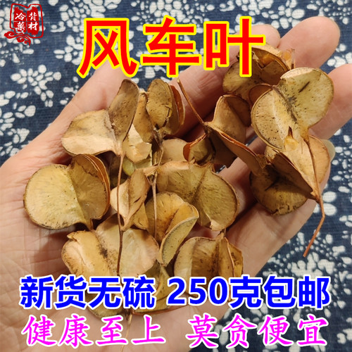 风车叶子耳鸣耳响泡水喝煲汤
