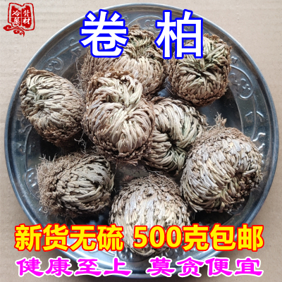 卷柏就死还魂草不死草包邮