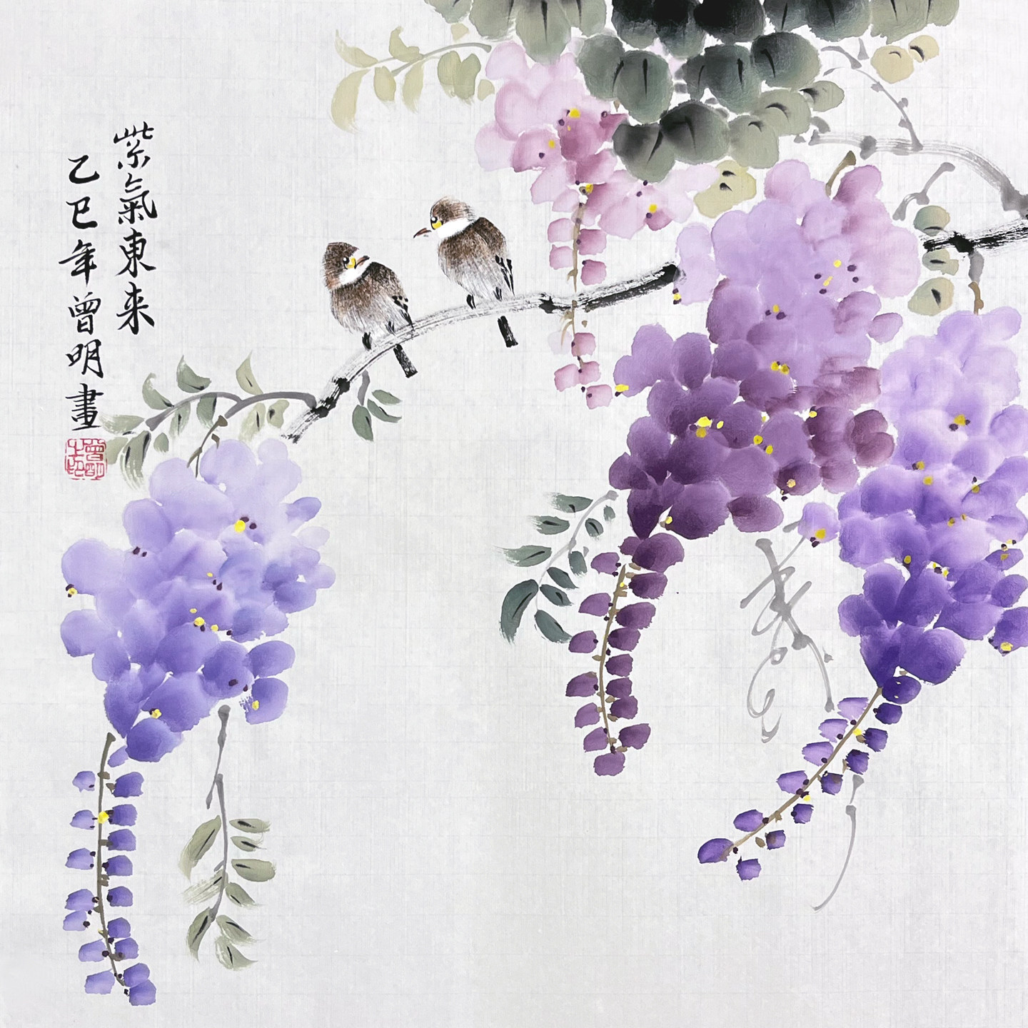 曾明纯手工三尺斗方国画真迹花鸟画紫藤餐厅玄关装饰字画紫气东来