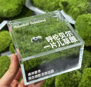 满洲里冰箱贴 满洲里桌面植物 呼伦贝尔冰箱贴  国门套娃广场
