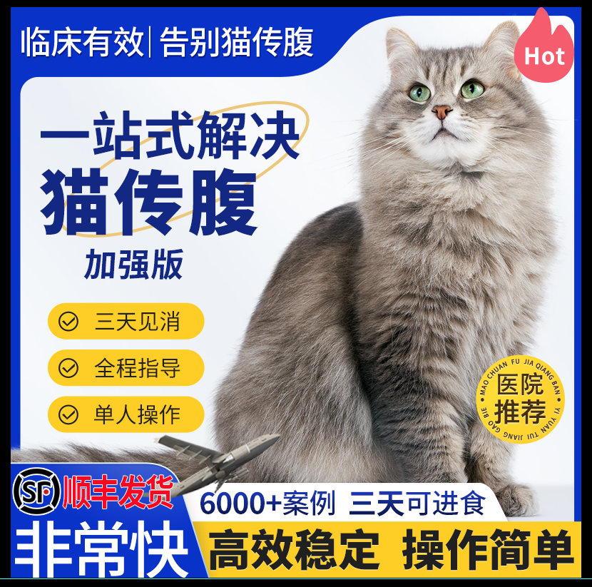 猫传腹猫咪干湿性消腹水