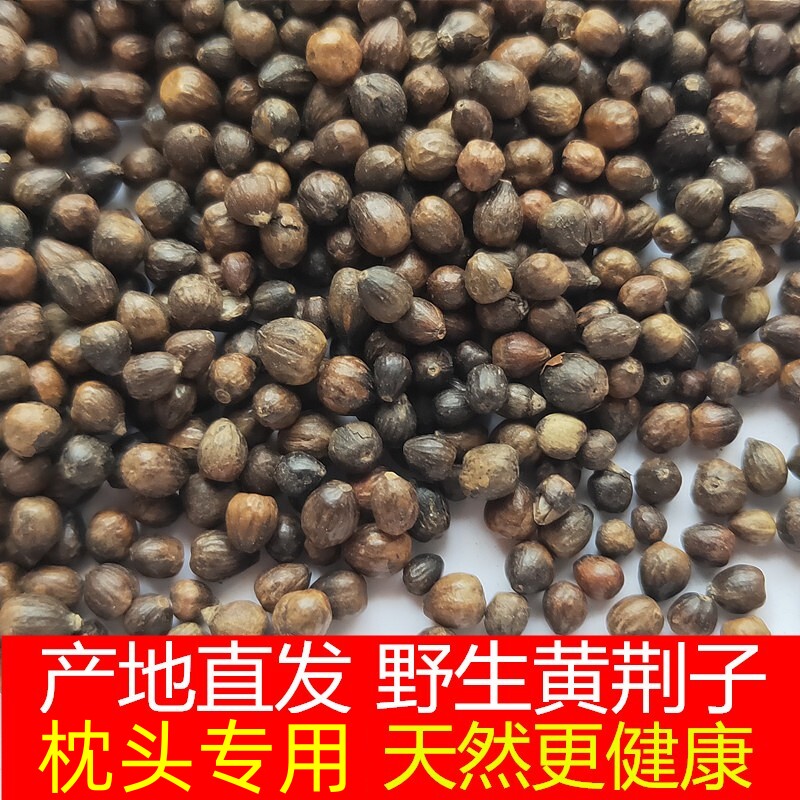 黄荆子枕头枕芯填充物布惊籽布荆仁黄金子荆棵黄金籽花草成人散装