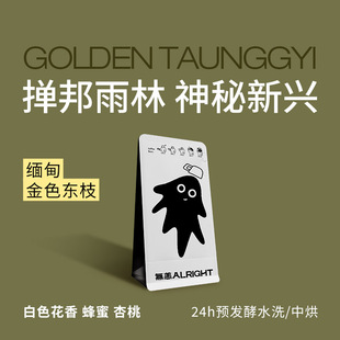 无恙咖啡 | 金色东枝 预发酵水洗 白色花香 中烘咖啡豆100g