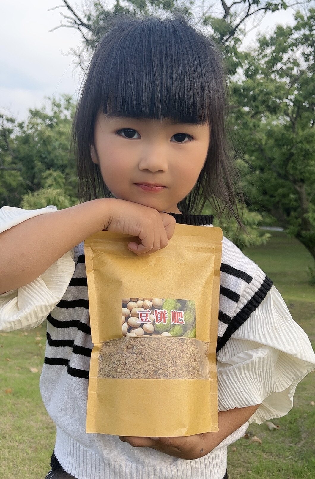 发酵饼肥腐熟花肥料熟饼豆饼肥豆饼渣果树肥种菜养花有机肥黄豆肥