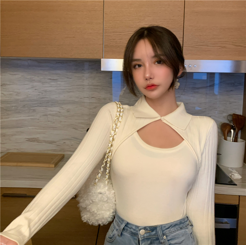 Slim and small Lapel knitted sweater at real price