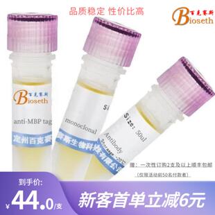 实验用抗体 Anti Antibody MBP 科研试剂 monoclonal