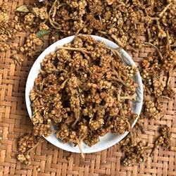 枇杷花茶新鲜琵琶花云霄野生老白枇杷花叶干泡水煮水搭川贝母