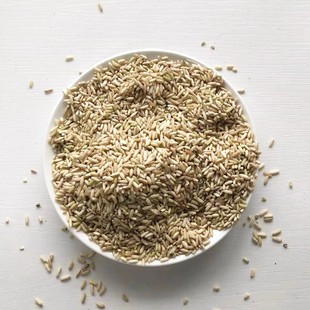 新冬糙糯米月子酒客家娘酒用米杂粮酒糟米娘酒黄酒甜酿酒专用米