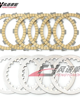适用雅马哈FZR250 FZR250R FZ250 Zeal离合器片钢片铁片摩擦片