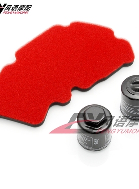 适用龙嘉250/300 XDV250/300 VMAX300 维多利亚 机滤 空滤芯海绵