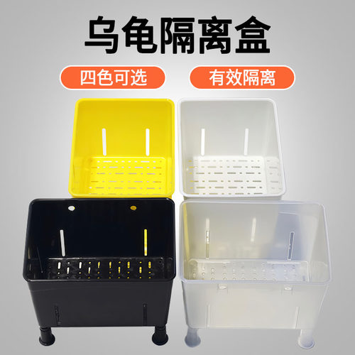 便宜隔离盒黎明发色龟