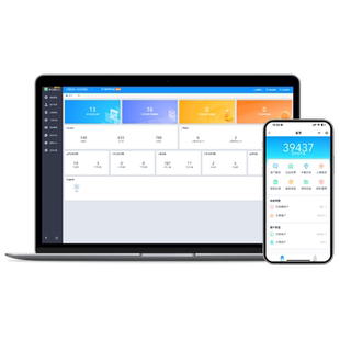 金蝶账无忧V6.0标准版 公司专业代账系统记账财务管理报税软件