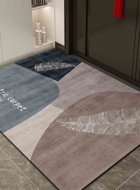 入户门专用地垫进门大门口进户门垫2025新款入户防滑脚垫地毯垫子