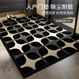 入户门口地垫高级感进门地毯免洗耐脏家用玄关脚垫入门门垫