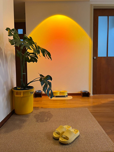 彷剑麻入户门地垫进门家用地毯2025新款门垫门外室外门口专用脚垫