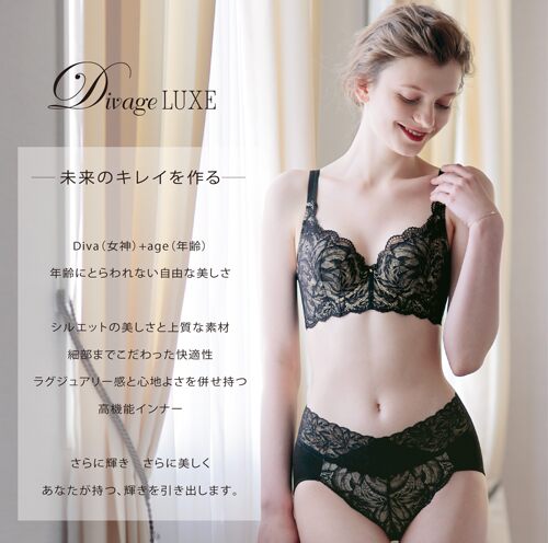 日本直邮DivageLUXE光纤维文胸